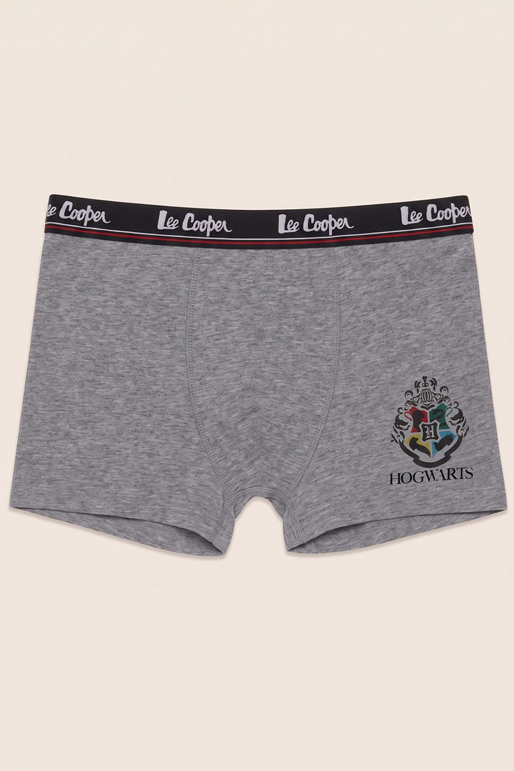 Lee Cooper Boys Harry Potter Trunks (Pack of 3) - Multicolor — image 2